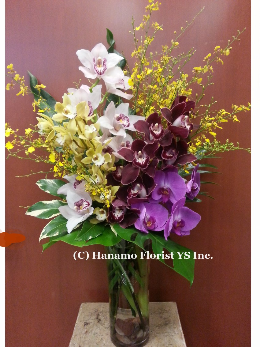 VASE316 Design by Yuka : Assorted Premium Orchids in a vase