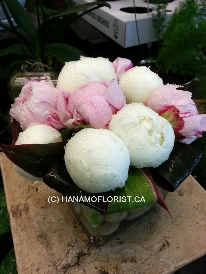 CUBE511. Peonies in a Vase: white & pink for Mothers Day week