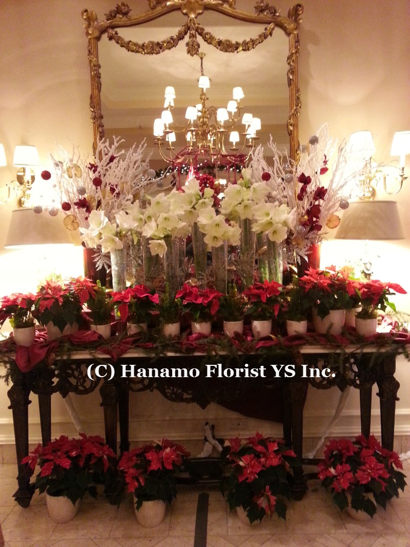 CMAS1207 Lobby Christmas Display