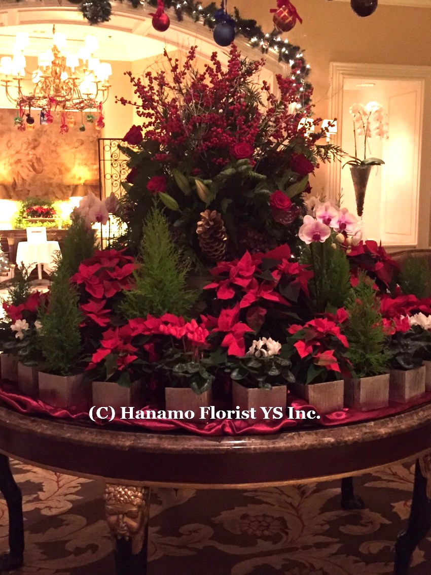 CMAS20152 Christmas arrangement display - Click Image to Close