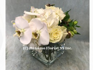 CUBE123 Designer's Season White Flowers in Cube 4.5" - Click Image to Close