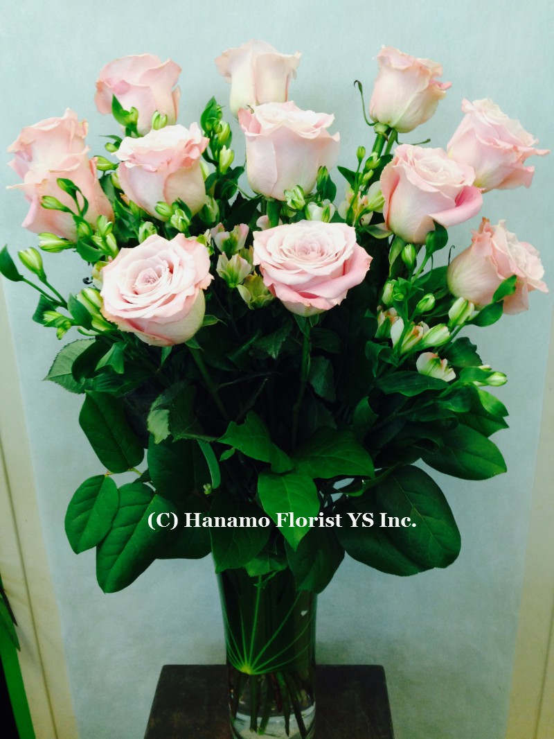 ROSE404 1 doz Premium Long Stem Ecuadorian Pink Rose in Vase