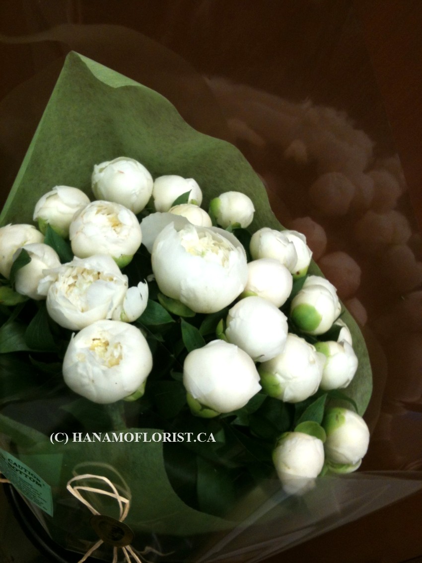 HAND511 18-20 stems of Fresh Peony Handtied Bouquet (April-June)