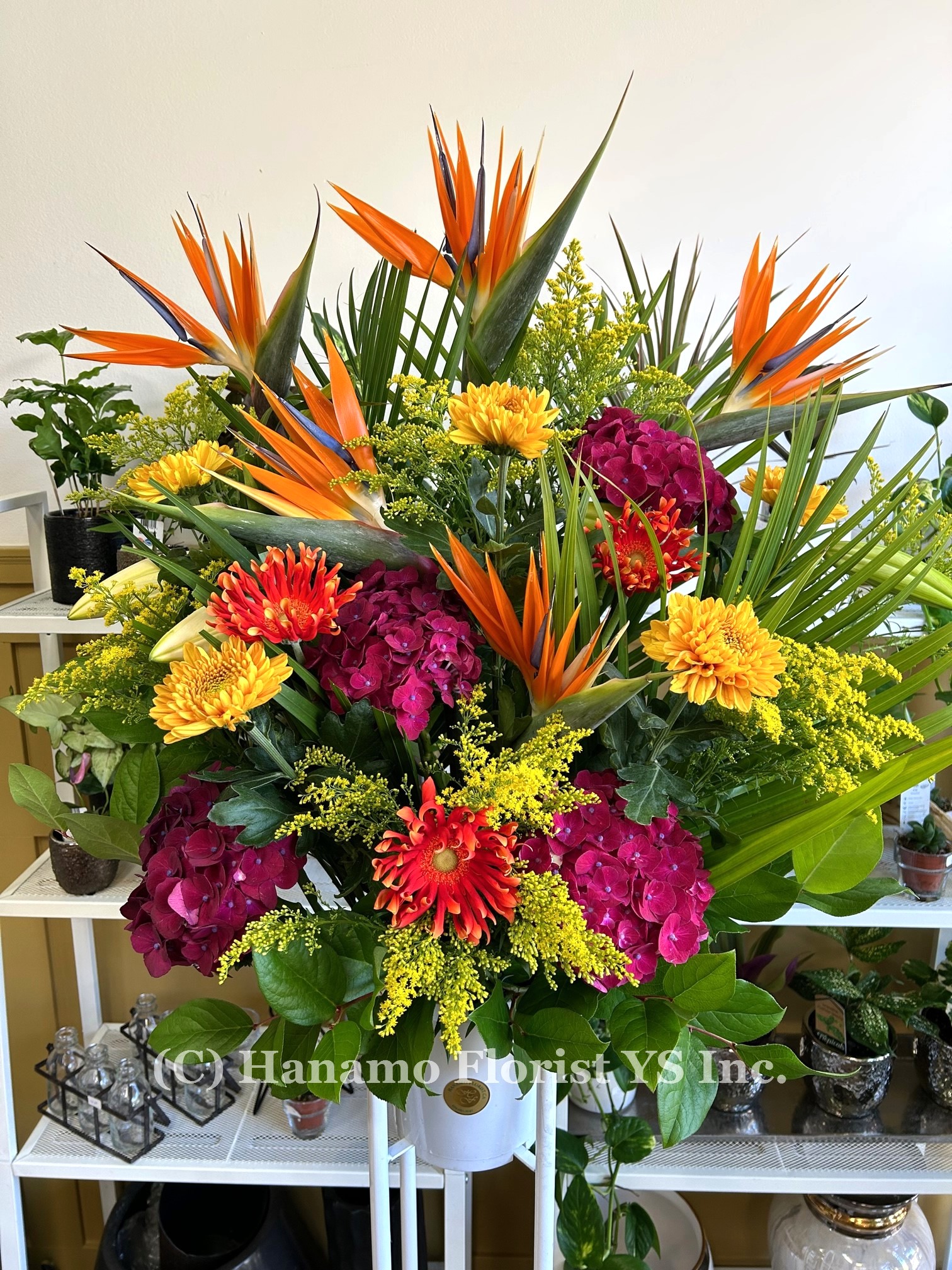 CONG305 Stand Flower Designer's Seasonal Choice Standard - Click Image to Close