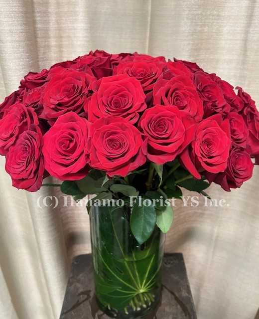 VALE102... 4 dozen Ecuadorian Red Roses in the vase - Click Image to Close