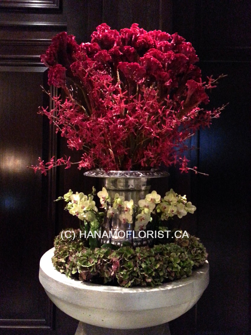 LOBB0930B Celosia & Aranda Lobby Arrangement