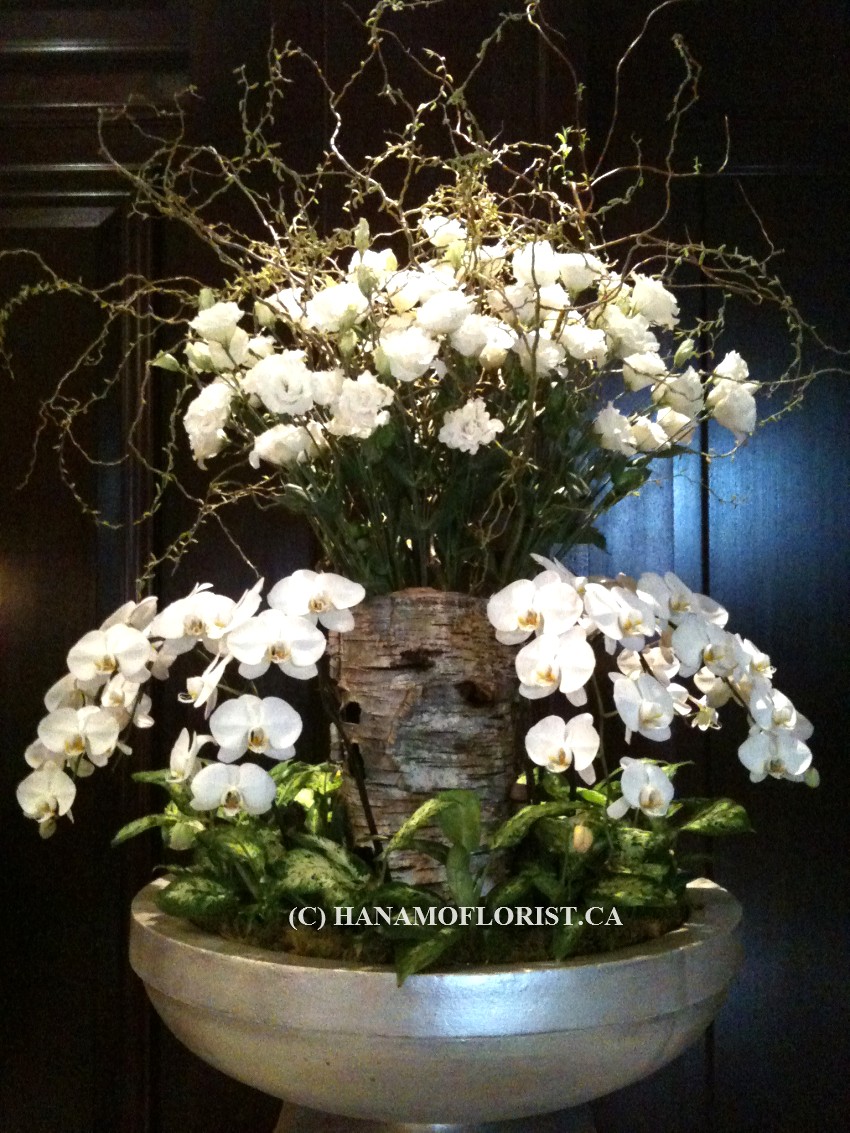 LOBB410 Lisianthus & Phalaenopsis Large Lobby Flowers - Click Image to Close