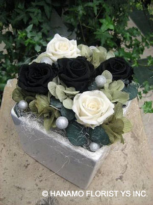 white rose flowers. black roses flowers
