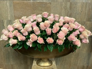 ROSE510 100 Roses in rental pot