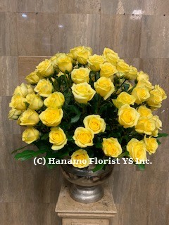 ROSE511 100 Roses in the rental pot