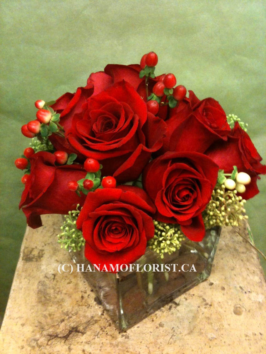 ROSE808 9 Big Ecuadorian Red Roses in a 5" Glass Cube Vase