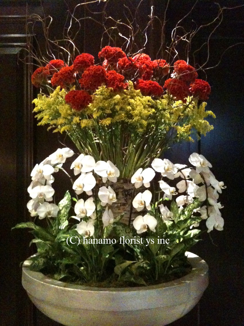 LOBB925 Celosia & Soligago Large Lobby Flowers