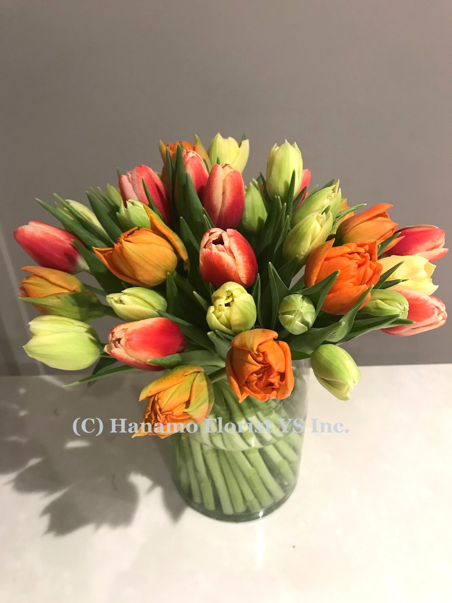VASE062 Weekly Fresh Tulips in Cylinder Vase (weekly colours)
