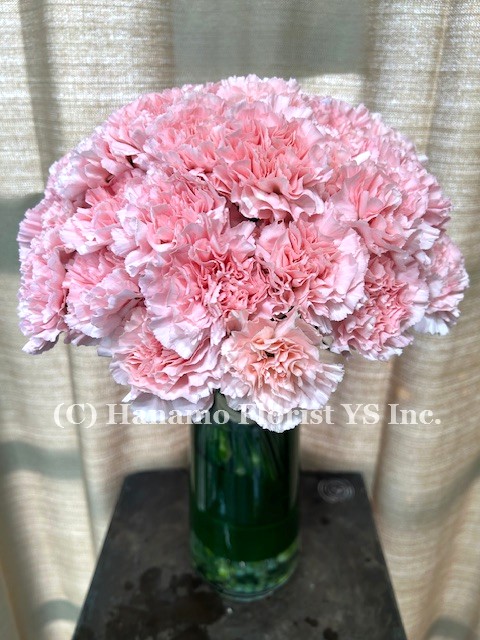 VASE128. Bi-Weekly Simple & Pretty Round Carnations Bouquet - Click Image to Close