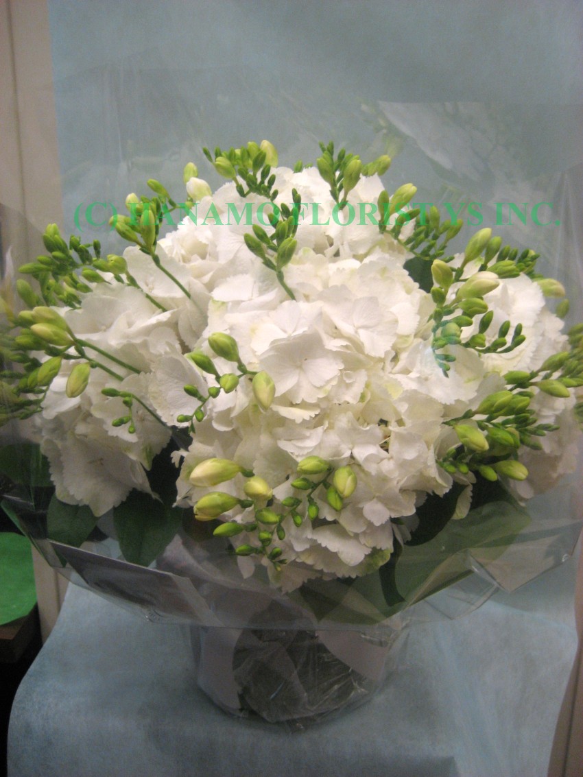 HAND021 Hydrangeas Handtied with Seasonal white Flowers M