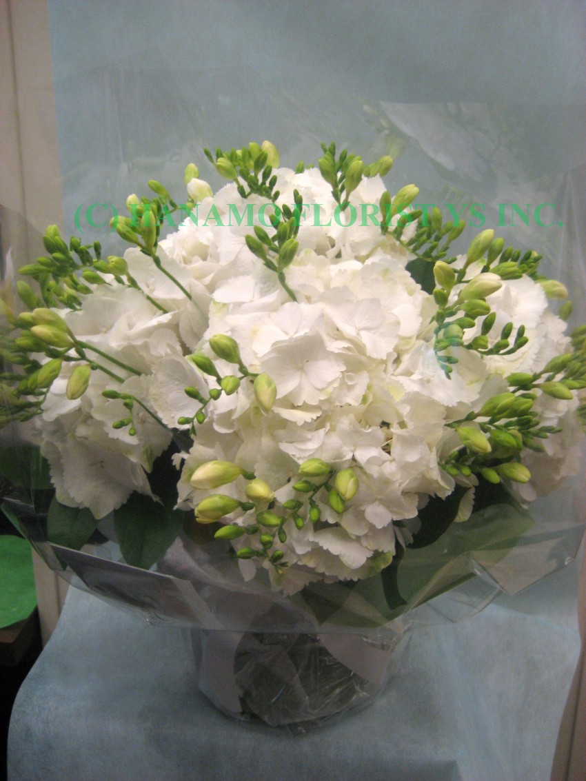 HAND021 Hydrangeas Handtied with Seasonal white Flowers M - Click Image to Close