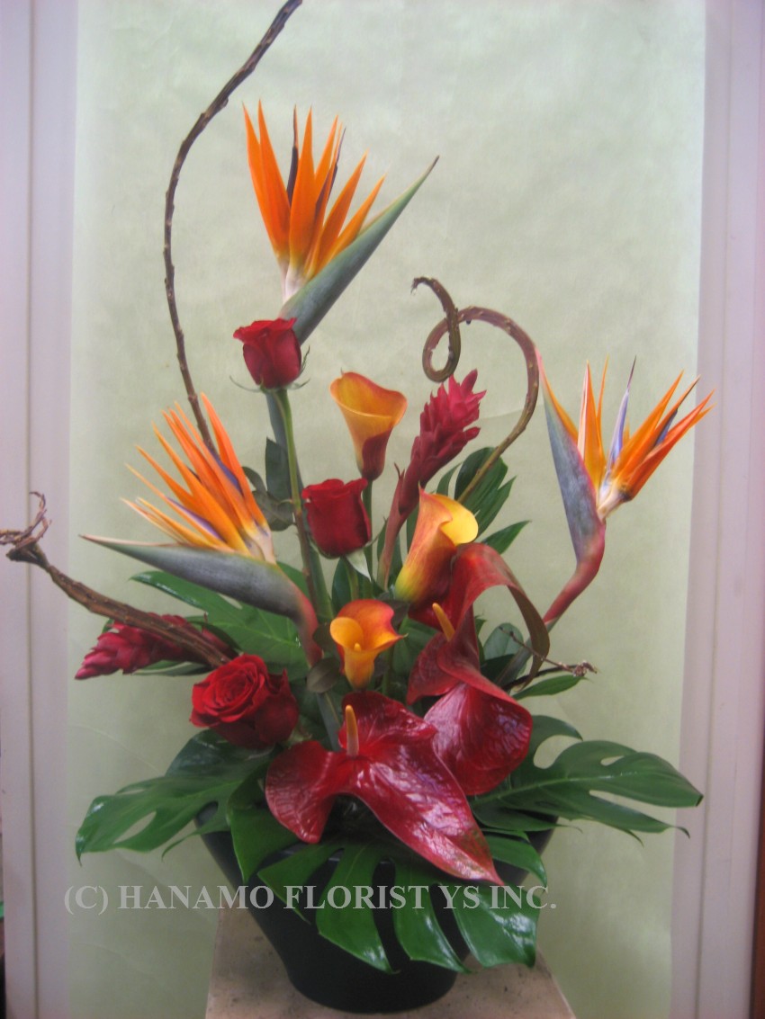 TROP004 Tropicals & Red Roses in Large Ceramic Bowl