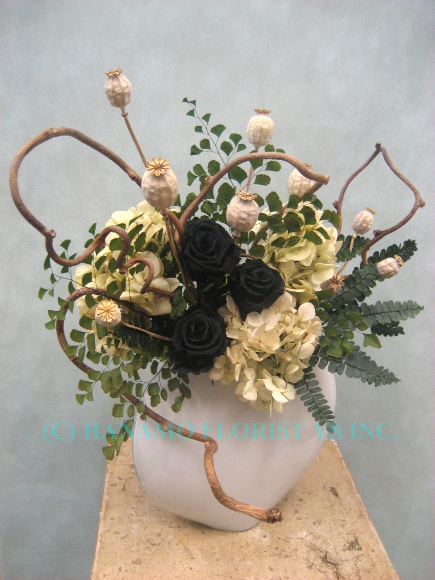 PRES012 Preserved Arrangeme Black Rose & Hydrangea