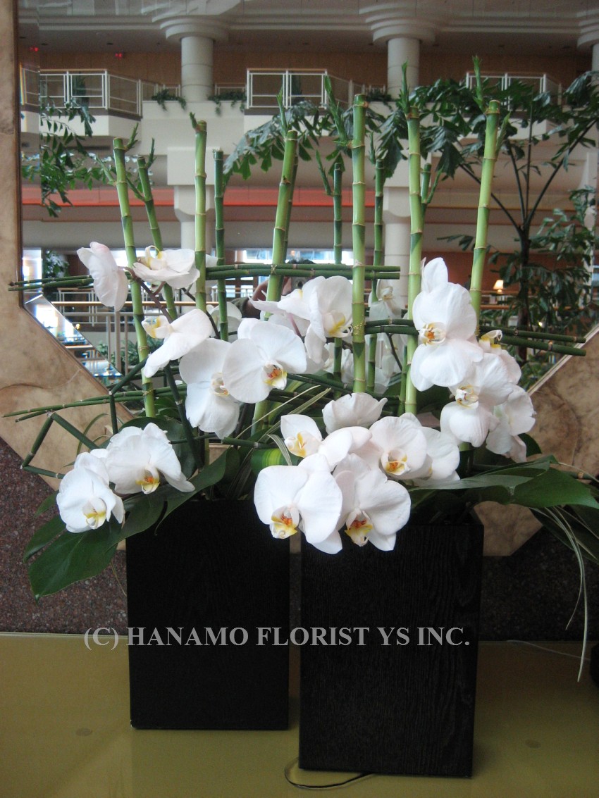 CRED004 Fresh Cut Orchid Credenza Arrangement