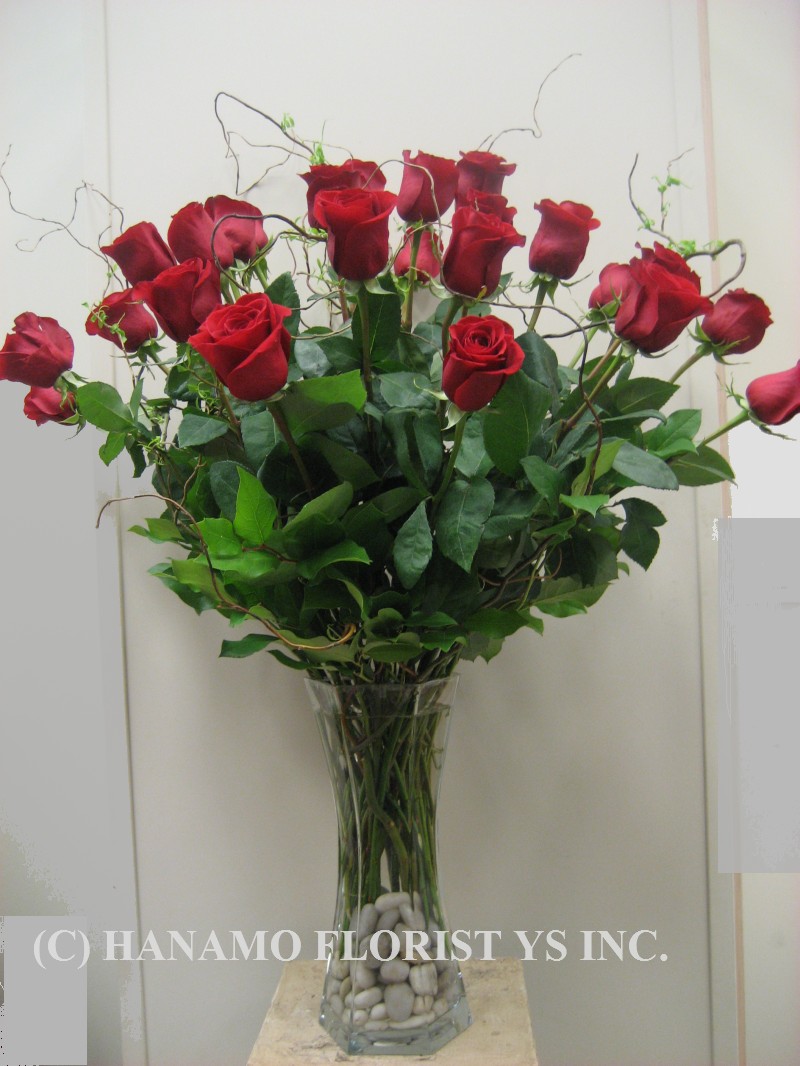 ROSE006 2 dz Premium Ecuadorian Long Stem Rose in Vase - Click Image to Close