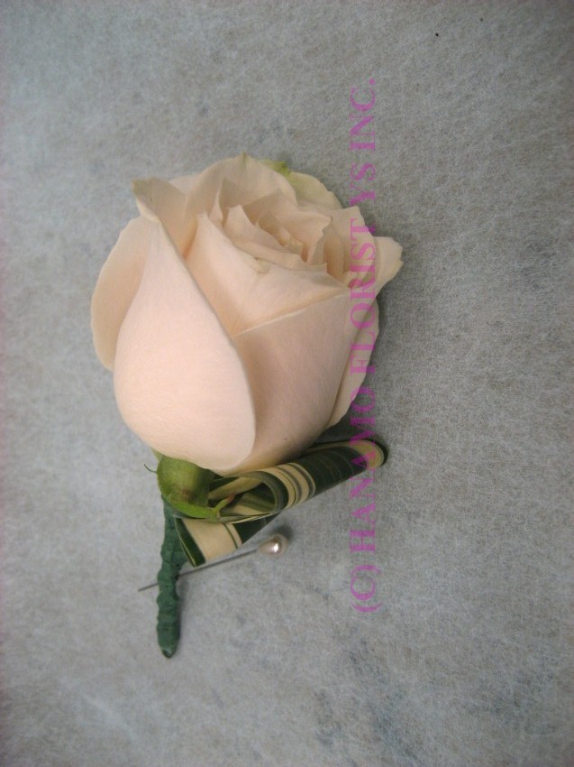 CORS029 Champagne White (Beige) Rose Boutonniere Simple