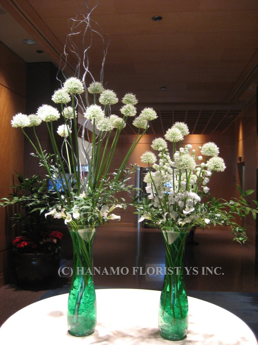 LOBB007 White Alliums in large twin vases - Click Image to Close