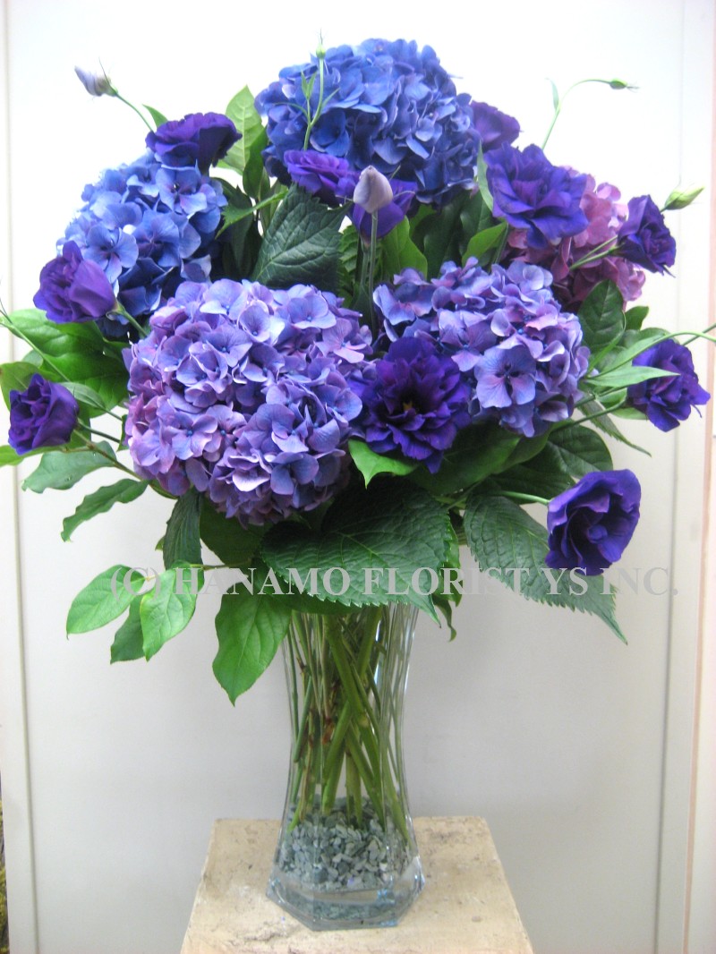 hydrangea vase