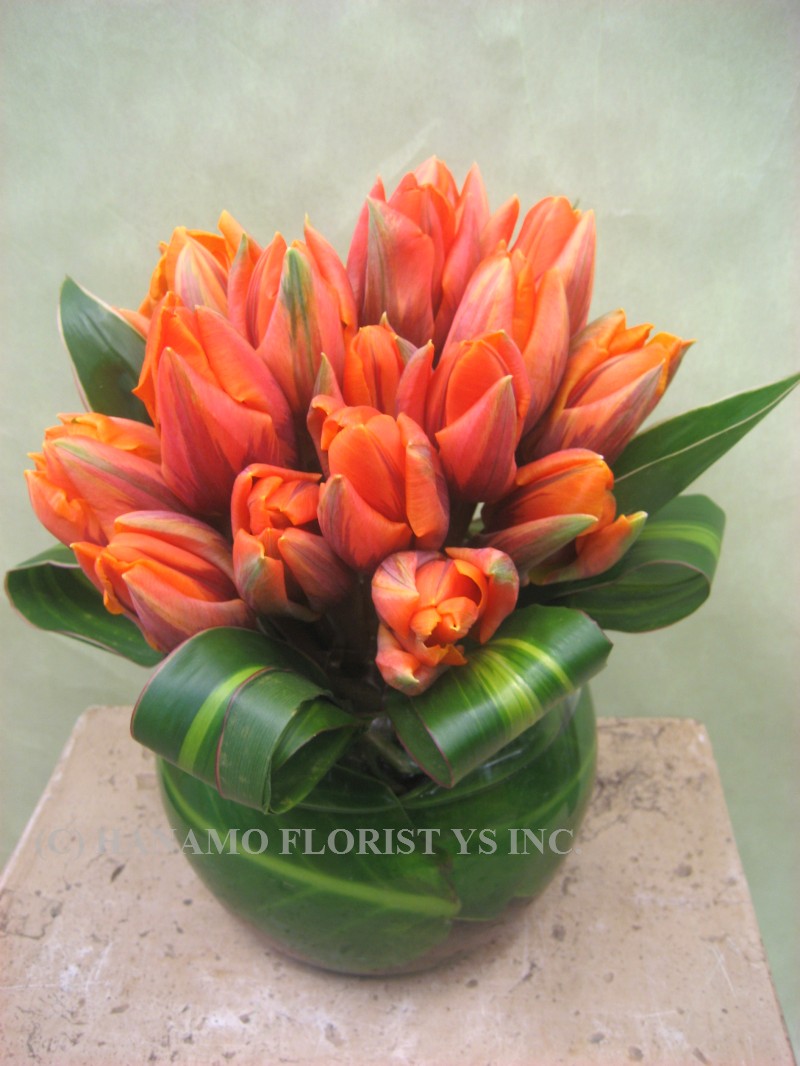 VASE062 Tulip Bowl