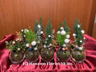 CMAS1124 Decorated Mini Tree in Glass Bowl