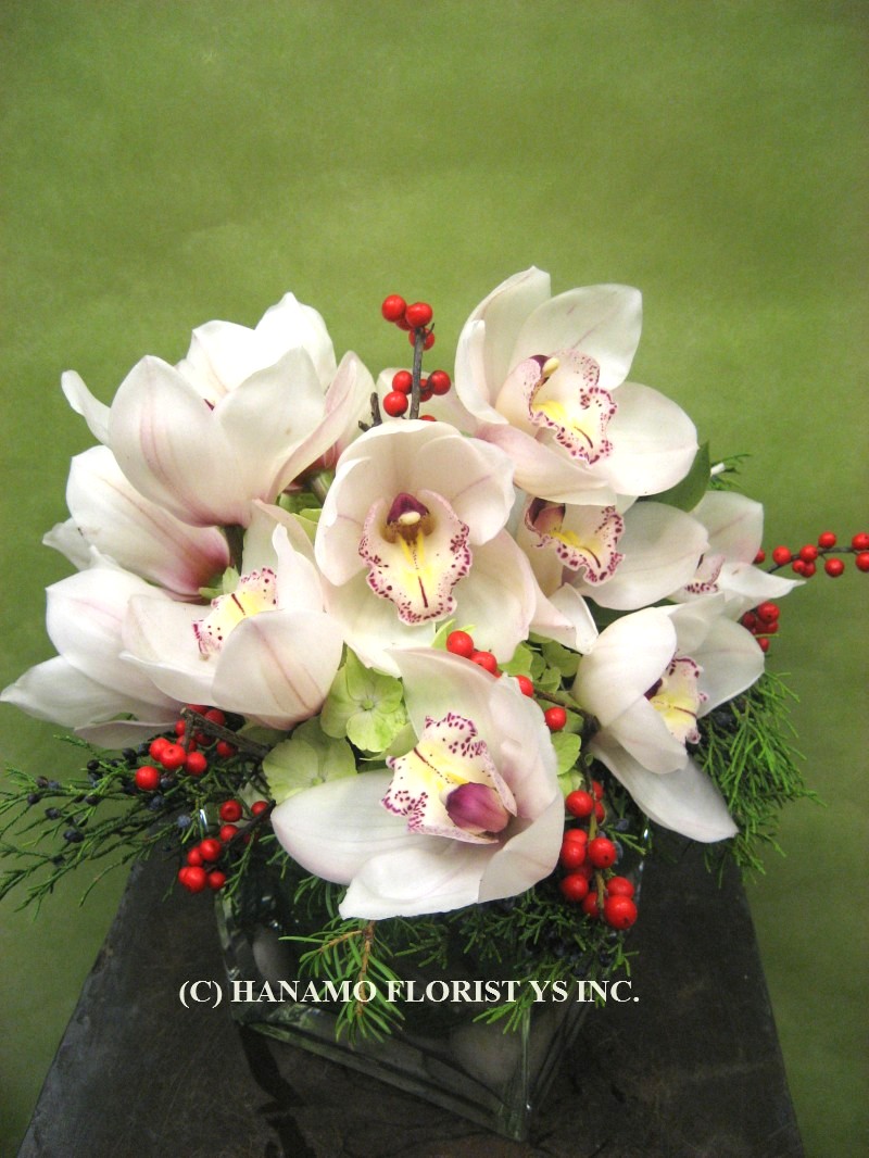 CMAS150 White Cymbidiums in a 5" Cube Glass Vase