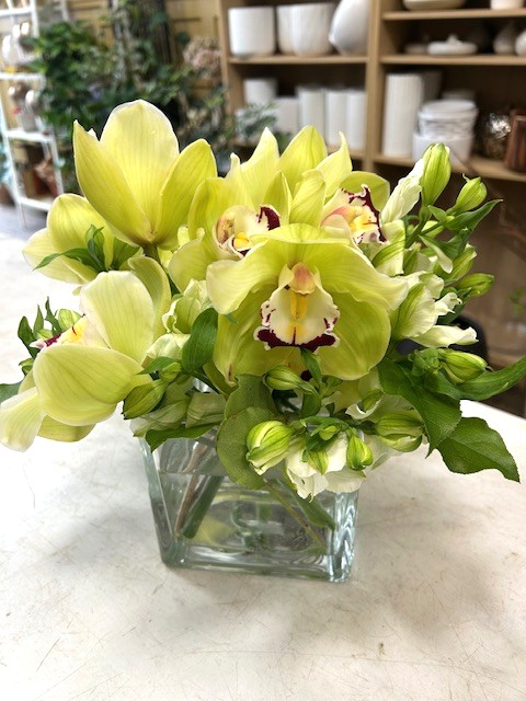 CUBE319 Cymbidium Orchids in a 5" Glass Cube Vase