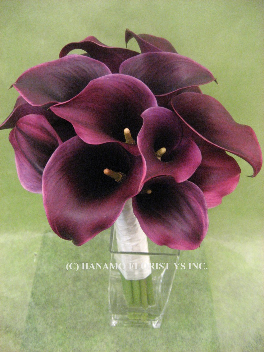 WEDB429 Dark Purple Calla Handtied Bouquet