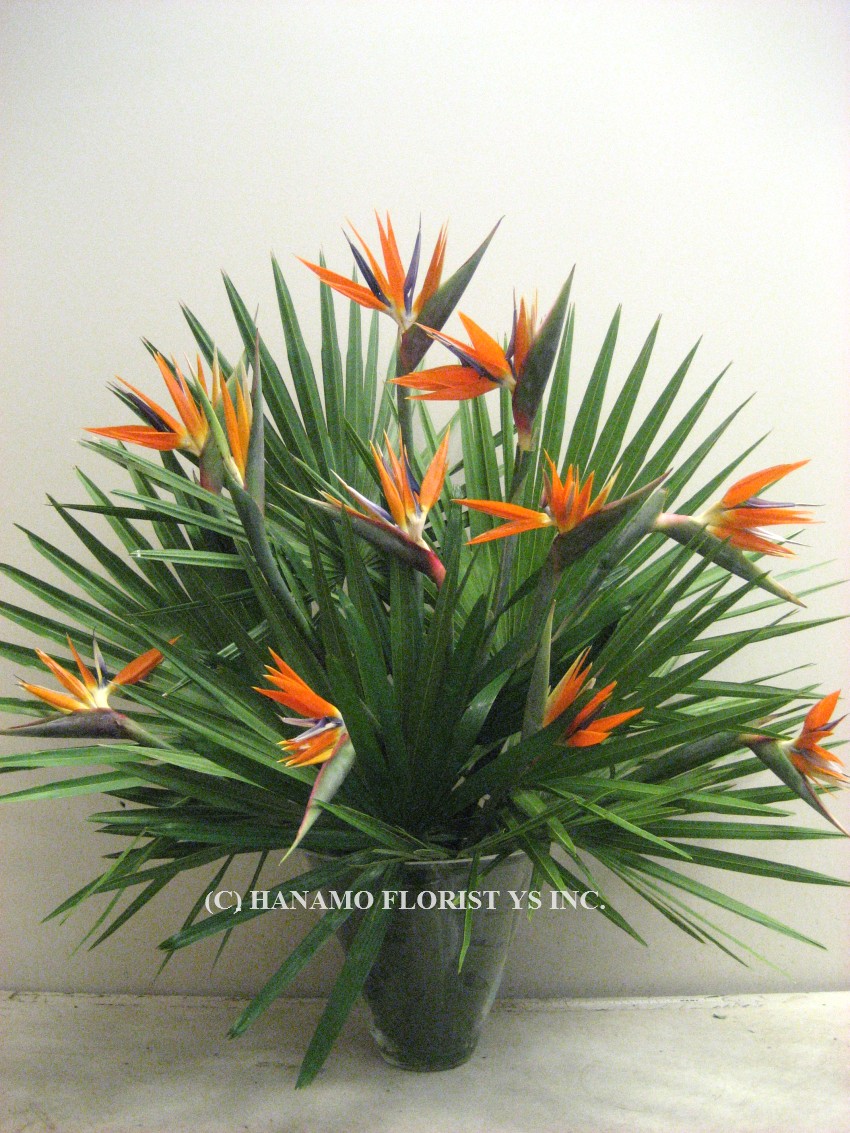 LOBB806 Birds of Paradise Arrangement in Glass Vase