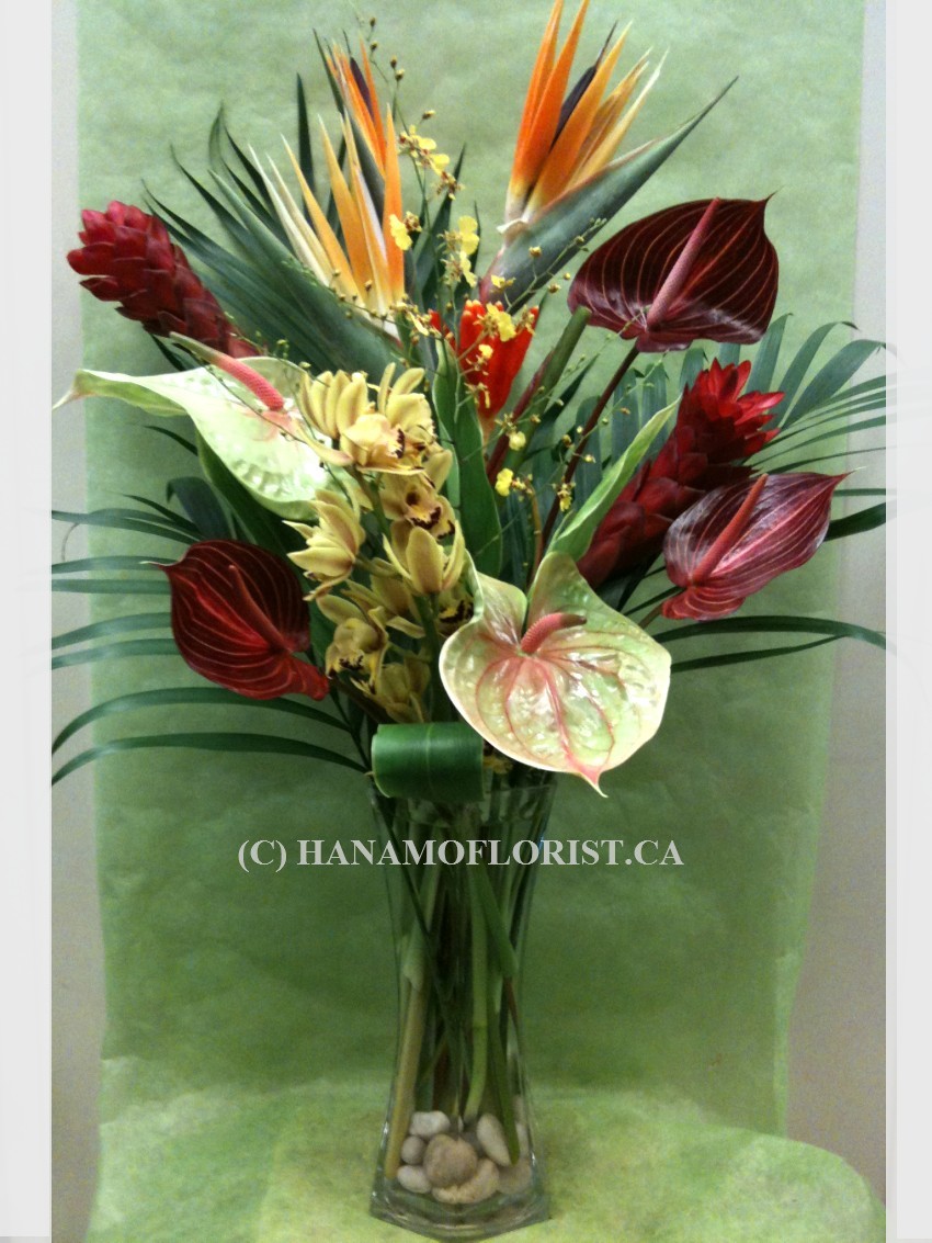 TROP202 Designer's Choice Tropical Flowers arrangement in Vase