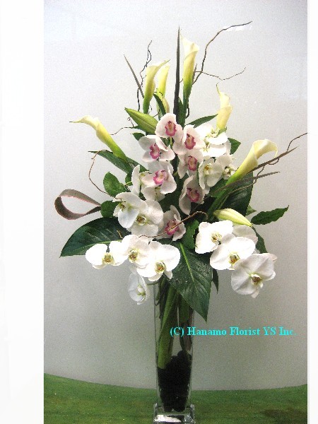VASE031 White Orchids & Calla Tall Vase Arrangement