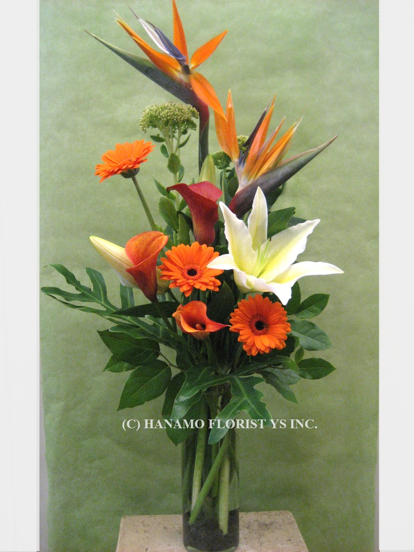 VASE818 Birds of paradise & seasonal flowers in vase